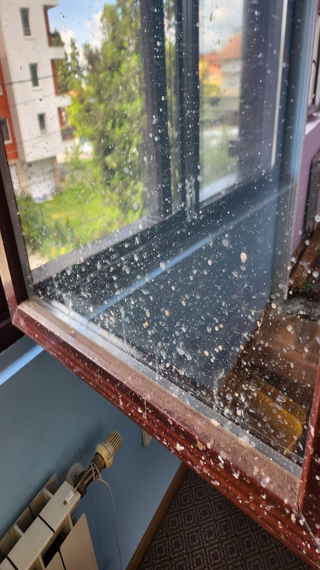 Before photo for Window Cleaning