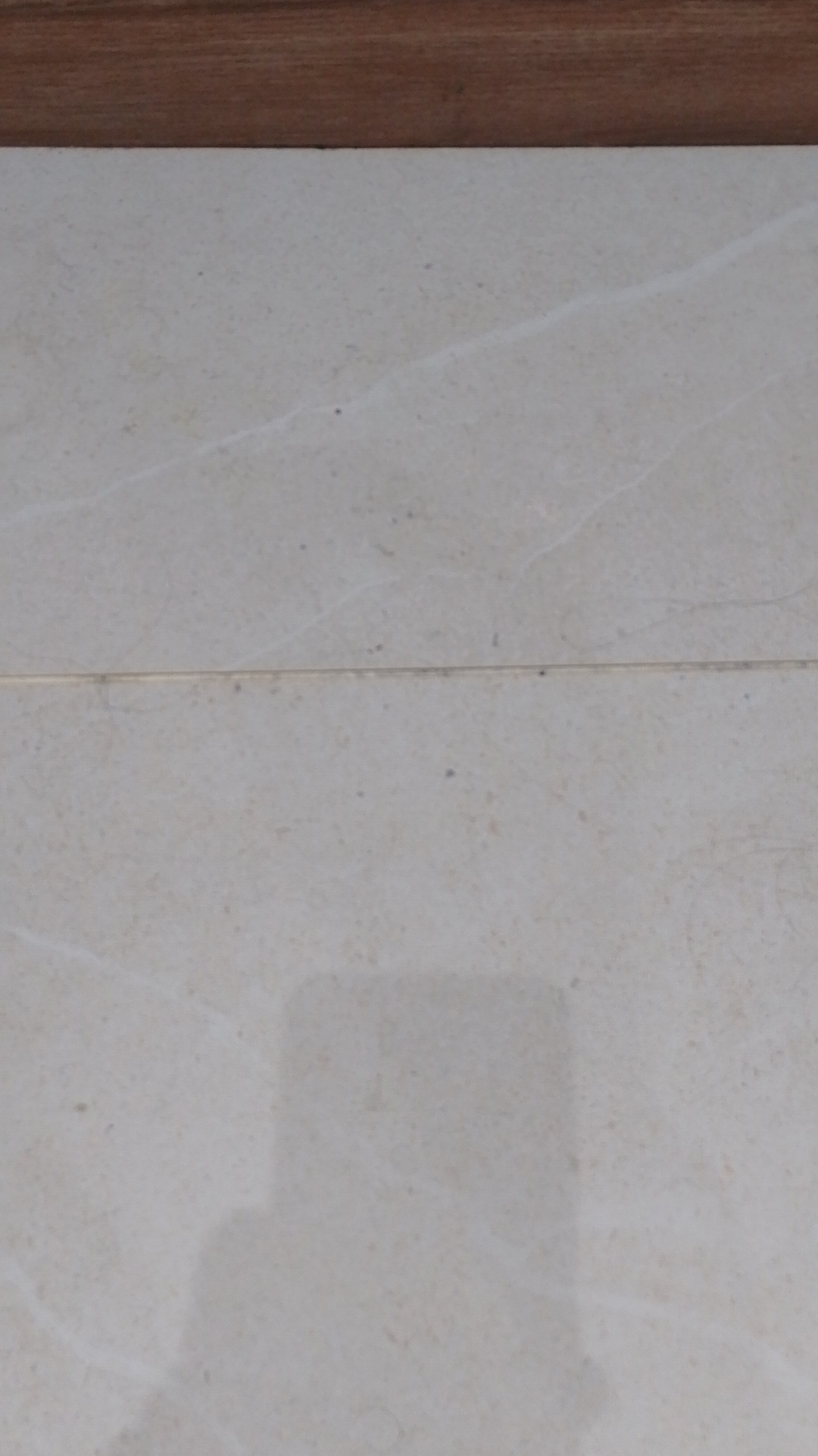 Before photo for Deep Cleaning