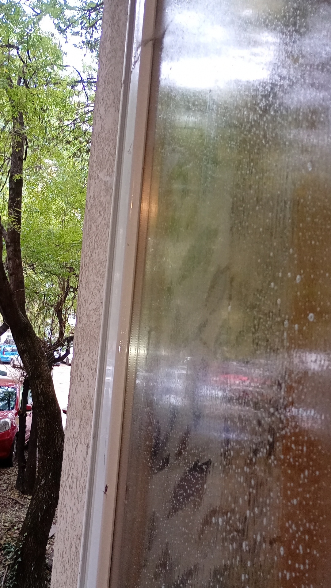 Before photo for Deep Cleaning