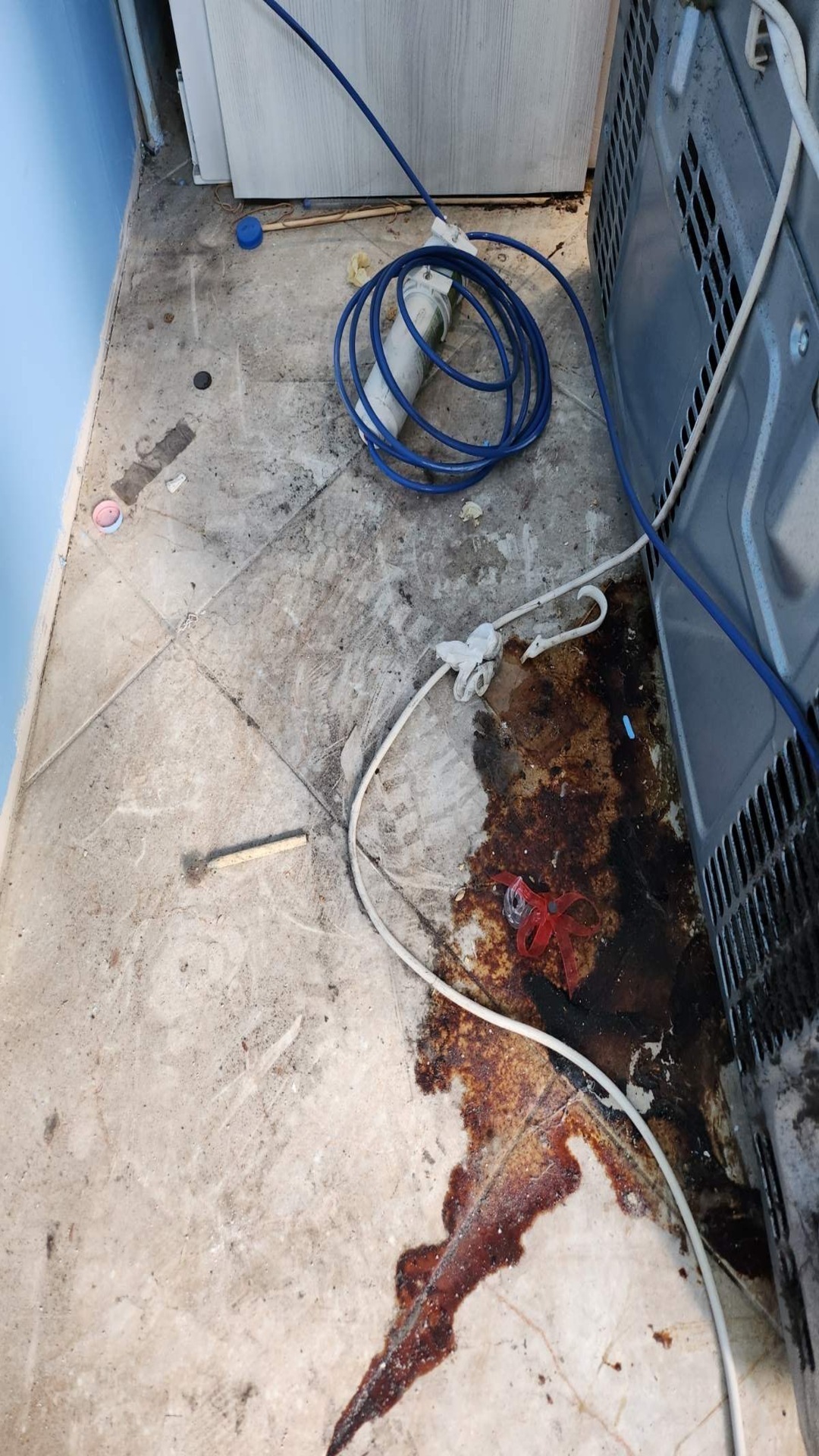 Before photo for Основно почистване