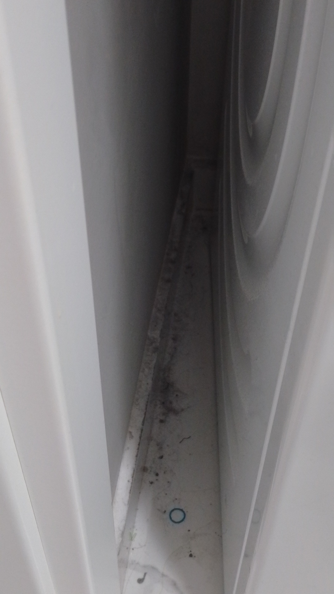 Before photo for Deep Cleaning