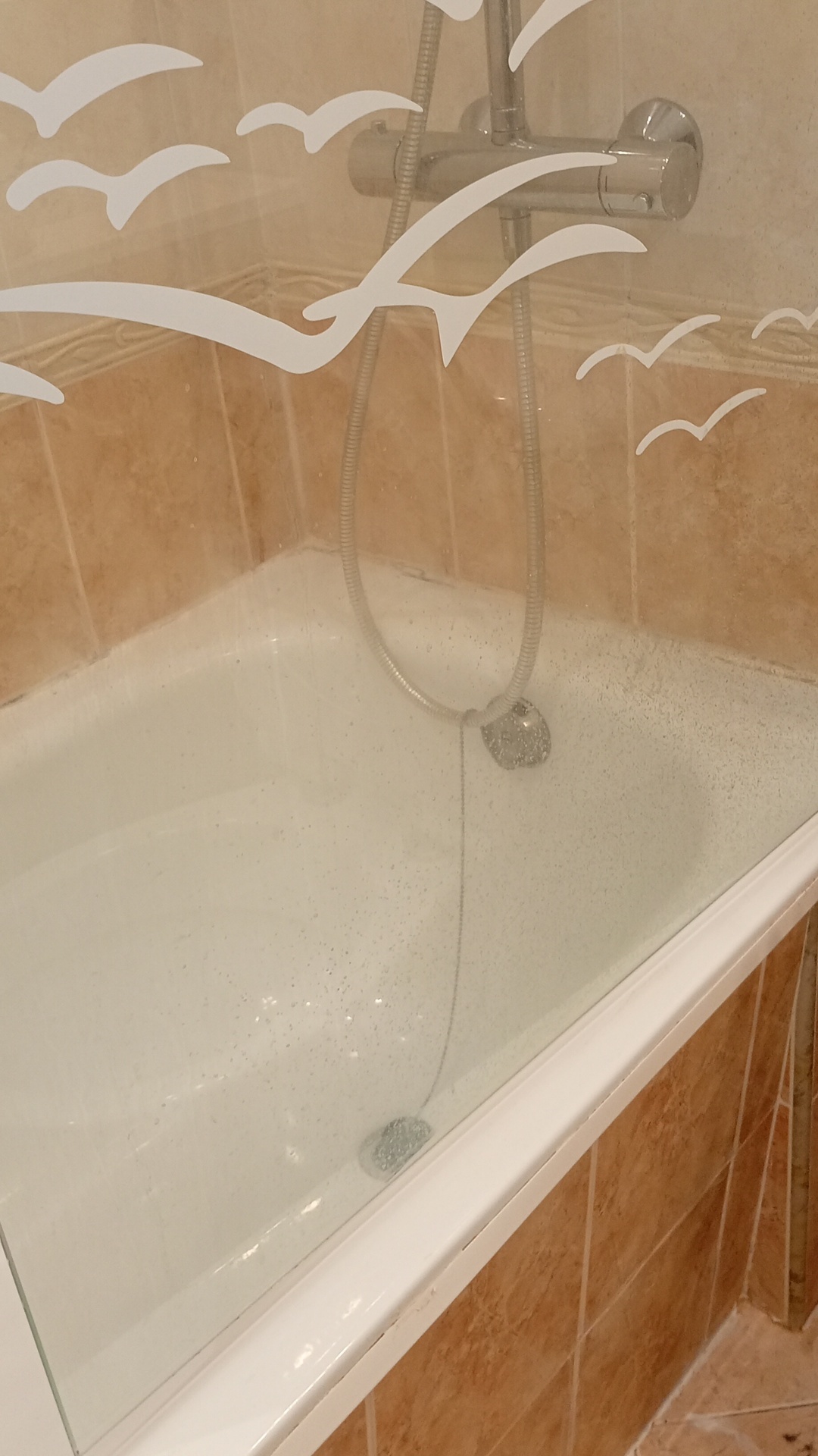 Before photo for Deep Cleaning