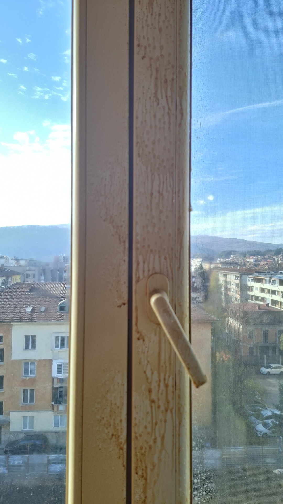 Before photo for Window Cleaning