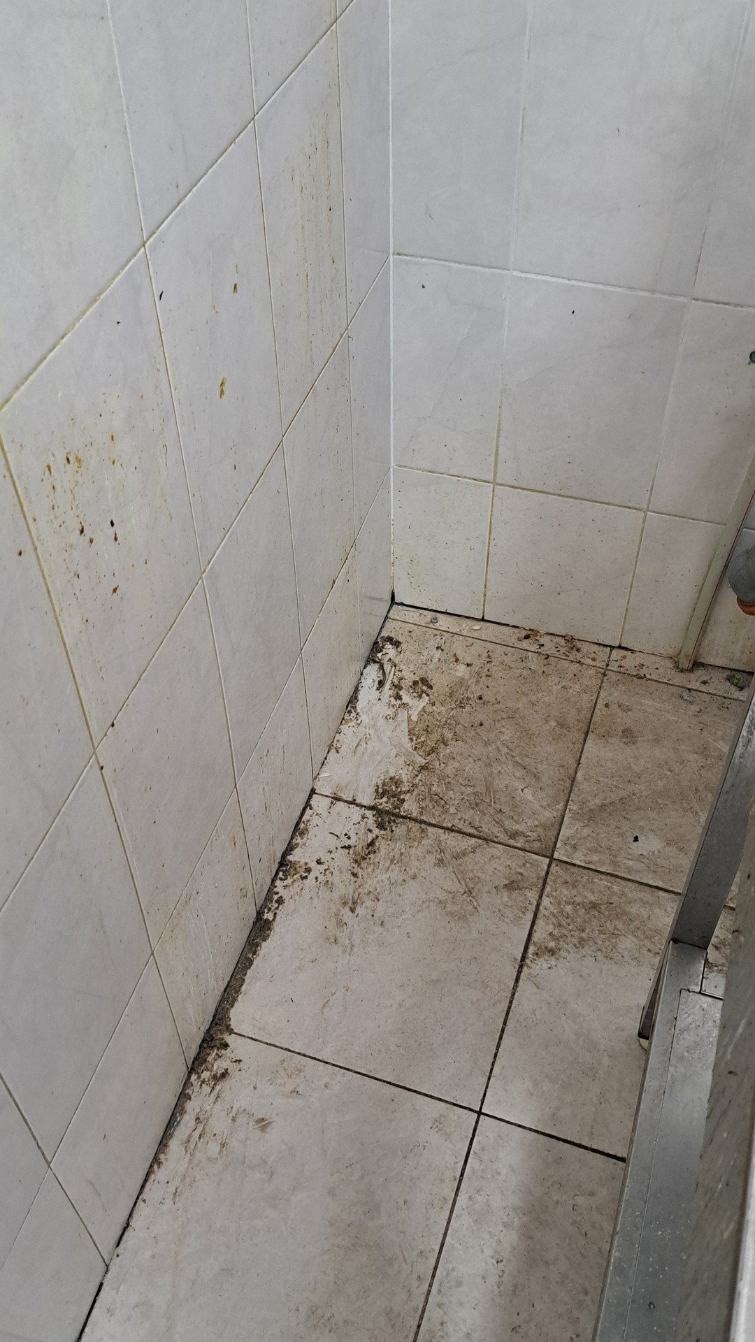 Before photo for Deep Cleaning