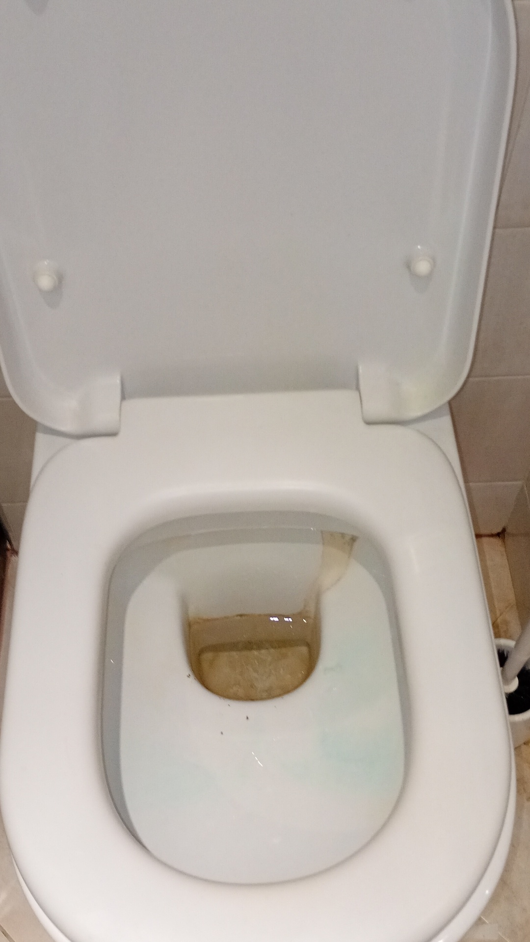 Before photo for Основно почистване