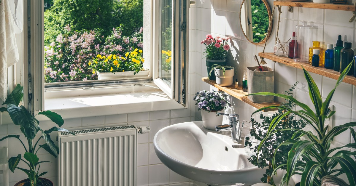 отворени прозорци